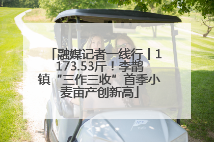 融媒记者一线行丨1173.53斤！李鹊镇“三作三收”首季小麦亩产创新高