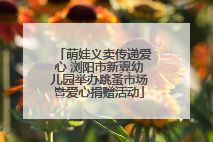 萌娃义卖传递爱心 浏阳市新翼幼儿园举办跳蚤市场暨爱心捐赠活动