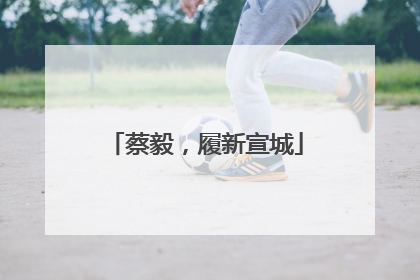 蔡毅，履新宣城