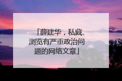 薛建华，私藏、浏览有严重政治问题的网络文章