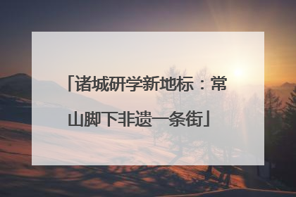 诸城研学新地标：常山脚下非遗一条街