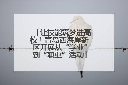 让技能筑梦进高校！青岛西海岸新区开展从“学业”到“职业”活动