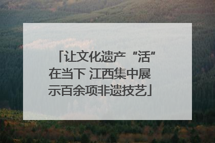 让文化遗产“活”在当下 江西集中展示百余项非遗技艺