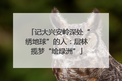 记大兴安岭深处“绣地球”的人：层林揽梦“绘绿洲”