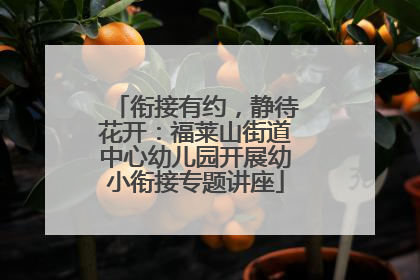 衔接有约，静待花开：福莱山街道中心幼儿园开展幼小衔接专题讲座