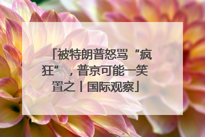 被特朗普怒骂“疯狂”，普京可能一笑置之丨国际观察
