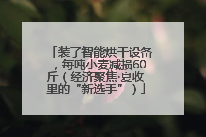 装了智能烘干设备，每吨小麦减损60斤（经济聚焦·夏收里的“新选手”）