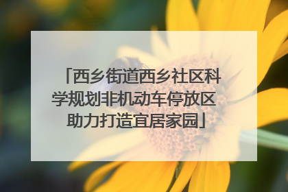 西乡街道西乡社区科学规划非机动车停放区 助力打造宜居家园
