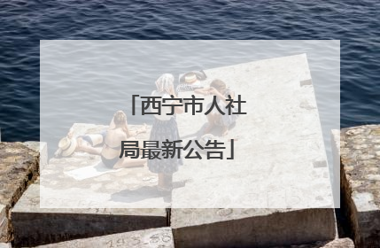 西宁市人社局最新公告