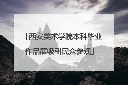 西安美术学院本科毕业作品展吸引民众参观