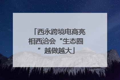 西永跨境电商亮相西洽会“生态圈”越做越大