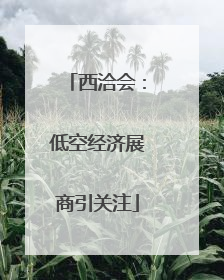 西洽会：低空经济展商引关注