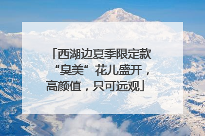 西湖边夏季限定款“臭美”花儿盛开，高颜值，只可远观