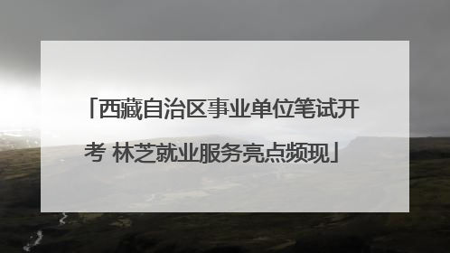 西藏自治区事业单位笔试开考 林芝就业服务亮点频现