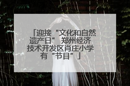 迎接“文化和自然遗产日” 郑州经济技术开发区肖庄小学有“节目”