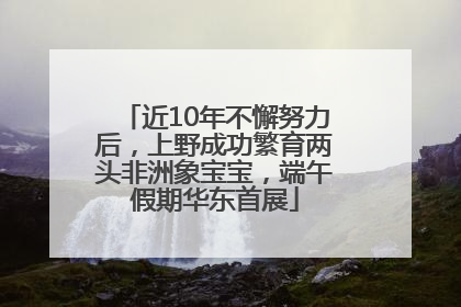 近10年不懈努力后，上野成功繁育两头非洲象宝宝，端午假期华东首展