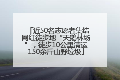 近50名志愿者集结网红徒步地“天鹅林场”，徒步10公里清运150余斤山野垃圾