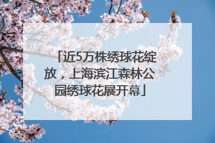 近5万株绣球花绽放，上海滨江森林公园绣球花展开幕