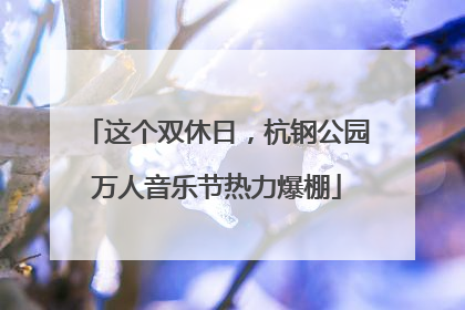 这个双休日，杭钢公园万人音乐节热力爆棚