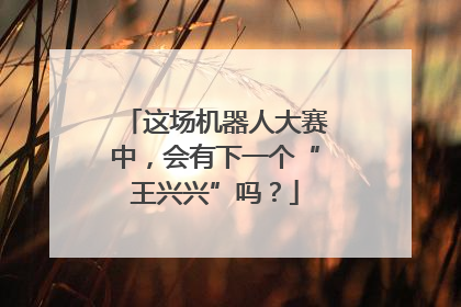 这场机器人大赛中，会有下一个“王兴兴”吗？