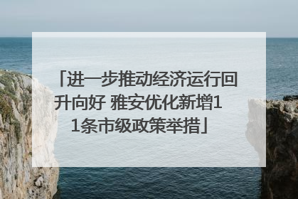 进一步推动经济运行回升向好 雅安优化新增11条市级政策举措