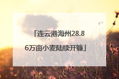 连云港海州28.86万亩小麦陆续开镰