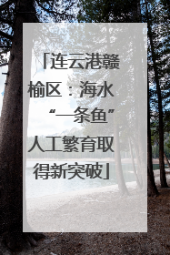 连云港赣榆区：海水“一条鱼”人工繁育取得新突破