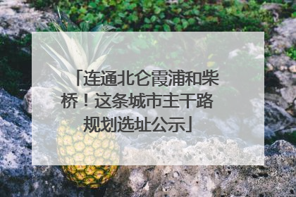 连通北仑霞浦和柴桥！这条城市主干路规划选址公示