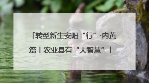 转型新生安阳“行”·内黄篇丨农业县有“大智慧”