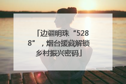 边疆明珠“5288”，烟台援藏解锁乡村振兴密码