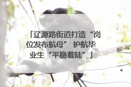 辽源路街道打造“岗位发布航母” 护航毕业生“平稳着陆”