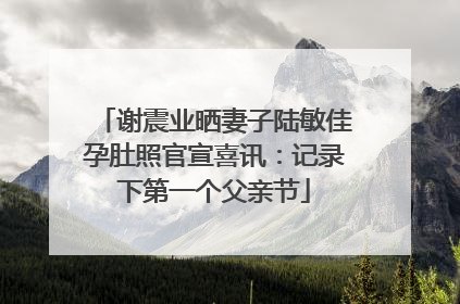 谢震业晒妻子陆敏佳孕肚照官宣喜讯：记录下第一个父亲节
