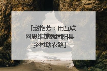 赵艳芳：用互联网思维铺就固阳县乡村助农路