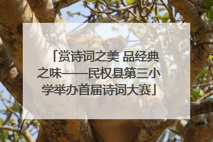 赏诗词之美 品经典之味——民权县第三小学举办首届诗词大赛