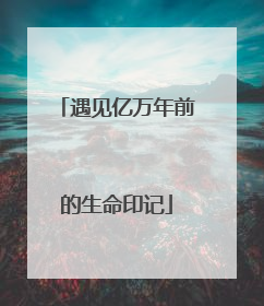 遇见亿万年前的生命印记