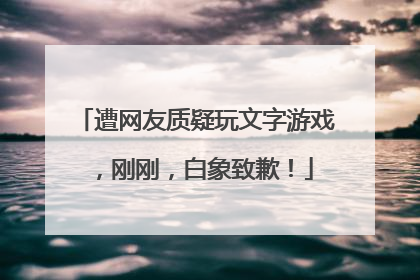 遭网友质疑玩文字游戏，刚刚，白象致歉！