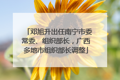 邓旭升出任南宁市委常委、组织部长，广西多地市组织部长调整
