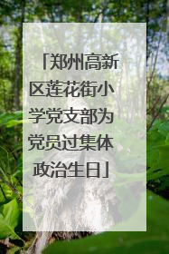 郑州高新区莲花街小学党支部为党员过集体政治生日