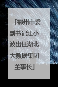 鄂州市委副书记汪小波出任湖北大数据集团董事长