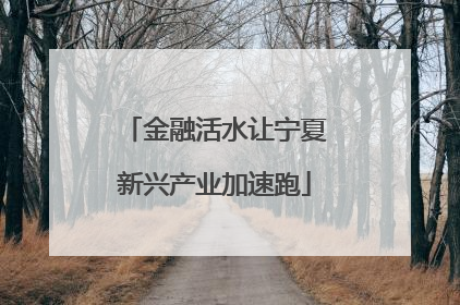 金融活水让宁夏新兴产业加速跑