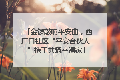 金锣敲响平安曲，西厂口社区“平安合伙人”携手共筑幸福家