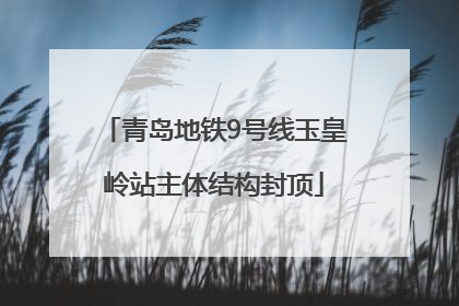 青岛地铁9号线玉皇岭站主体结构封顶