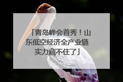 青岛峰会首秀！山东低空经济全产业链实力藏不住了