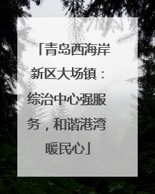 青岛西海岸新区大场镇：综治中心强服务，和谐港湾暖民心