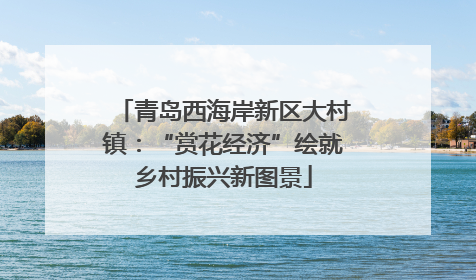 青岛西海岸新区大村镇：“赏花经济”绘就乡村振兴新图景