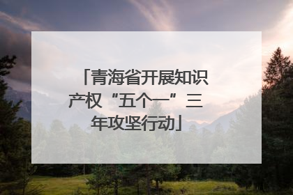 青海省开展知识产权“五个一”三年攻坚行动