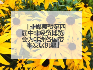 非媒盛赞第四届中非经贸博览会为非洲各国带来发展机遇