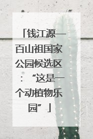 钱江源—百山祖国家公园候选区：“这是一个动植物乐园”