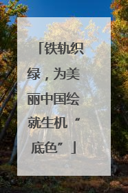 铁轨织绿，为美丽中国绘就生机“底色”