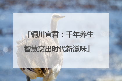 铜川宜君：千年养生智慧烹出时代新滋味